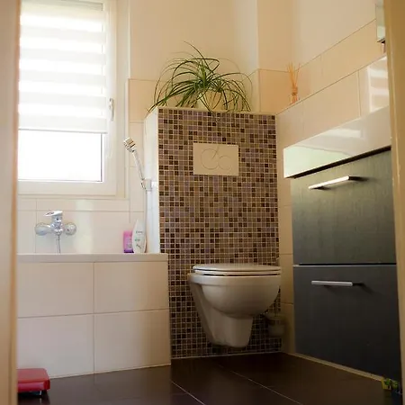 Entire House In Schwarzwald With Mountain View, Private Gym,sauna And Garden Holiday home Unterkirnach