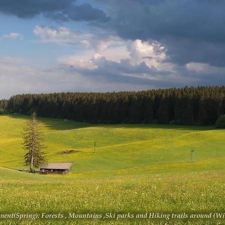 Entire House In Schwarzwald With Mountain View, Private Gym,sauna And Garden *