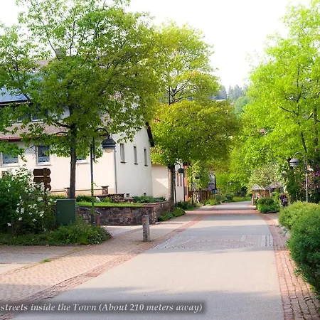 Entire House In Schwarzwald With Mountain View, Private Gym,sauna And Garden Holiday home
