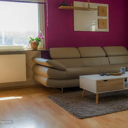 Entire House In Schwarzwald With Mountain View, Private Gym,sauna And Garden Holiday home *