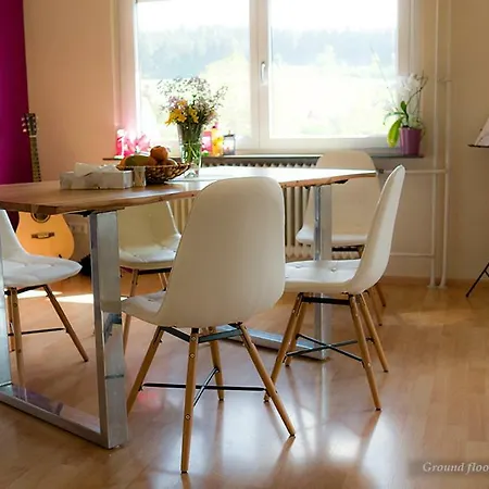 Entire House In Schwarzwald With Mountain View, Private Gym,sauna And Garden * Unterkirnach