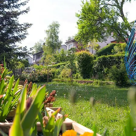 Entire House In Schwarzwald With Mountain View, Private Gym,sauna And Garden Holiday home *