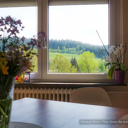 Entire House In Schwarzwald With Mountain View, Private Gym,sauna And Garden * Unterkirnach