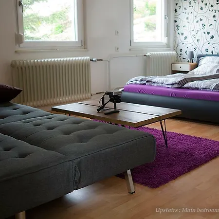 Entire House In Schwarzwald With Mountain View, Private Gym,sauna And Garden Holiday home *