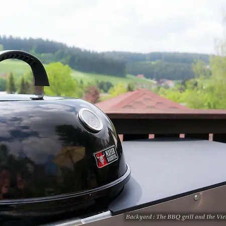 Entire House In Schwarzwald With Mountain View, Private Gym,sauna And Garden *