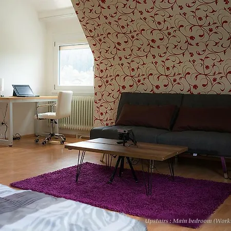Entire House In Schwarzwald With Mountain View, Private Gym,sauna And Garden *