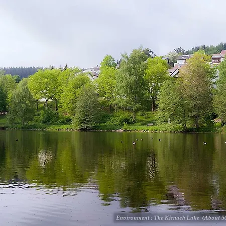 Holiday home Entire House In Schwarzwald With Mountain View, Private Gym,sauna And Garden