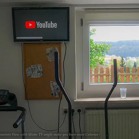 Holiday home Entire House In Schwarzwald With Mountain View, Private Gym,sauna And Garden