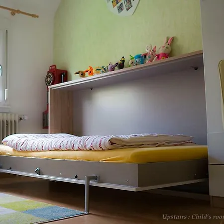 Entire House In Schwarzwald With Mountain View, Private Gym,sauna And Garden *