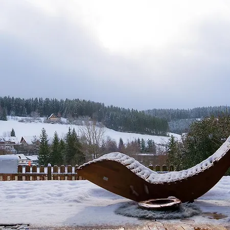 Holiday home Entire House In Schwarzwald With Mountain View, Private Gym,sauna And Garden *